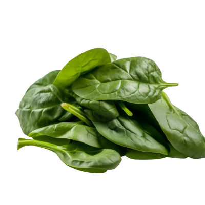 Spinach (English Bunch)
